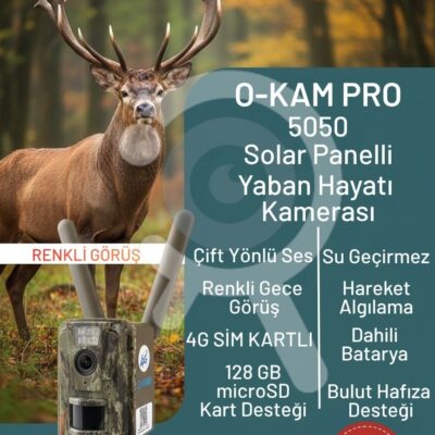 O-KAM 5050 FotoKapan Kamuflaj Avcılık Doğal Yaşam Kamerası Sim Kartlı Güneş Enerjili